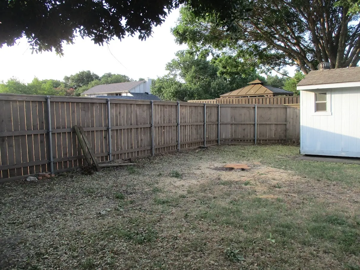 Cleared yard after professional tree removal in Delta